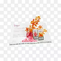 广告时尚巴黎平面设计杂志-弹出-空若网 广告时尚巴黎平面设计杂志-弹出-空若网