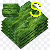 绿牧场-空若网 绿牧场-空若网