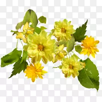 ����ɫ��ɫ������-��-������