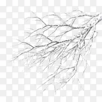 树枝绘画剪贴画-树-空若网 树枝绘画剪贴画-树-空若网