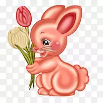 ����������-����-������