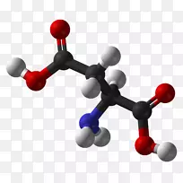 氨基酸分子化学丙氨酸-空若网 氨基酸分子化学丙氨酸-空若网