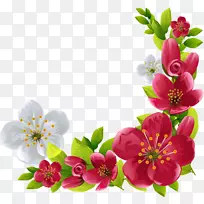 ˮ�ʻ�������-������