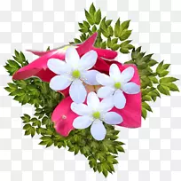 ���������Ӱ���-������