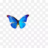 ������ĸ������t��-���������棬�걾-������