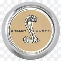 ������̥����������̥ר��-������