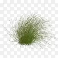 ������ݿ�ֲ��-������