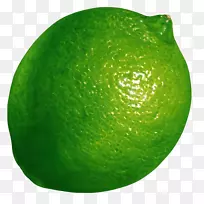 柠檬浆果主要酸橙水果-吸引人的柠檬-空若网 柠檬浆果主要酸橙水果-吸引人的柠檬-空若网