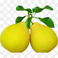 果汁柚子-两种葡萄柚-空若网 果汁柚子-两种葡萄柚-空若网