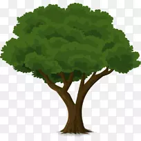 动画树剪贴画-空若网 动画树剪贴画-空若网