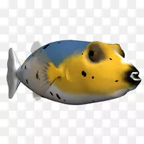 ���������-������