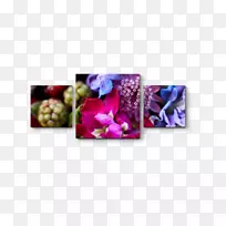 ������ɫ������-��ɫ-������