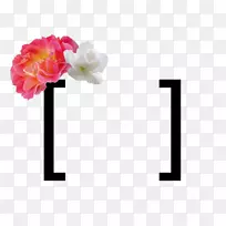 ������ƣ�ƽ����ƣ��û�������ƣ��û�������ƣ��л�.����-������