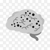 阿尔茨海默病脑萎缩医学诊断-脑-空若网 阿尔茨海默病脑萎缩医学诊断-脑-空若网