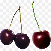 甜樱桃浆果水果樱桃-空若网 甜樱桃浆果水果樱桃-空若网