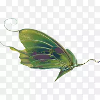 蝴蝶昆虫剪贴画-蝴蝶-空若网 蝴蝶昆虫剪贴画-蝴蝶-空若网