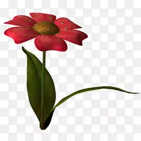 花瓣切花画花-空若网 花瓣切花画花-空若网