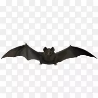 ������չ����ͼ������-����-������