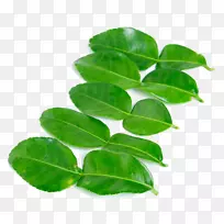 Kaffir石灰叶配料原料摄影.叶-空若网 Kaffir石灰叶配料原料摄影.叶-空若网