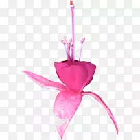 Ë®²Ê»£º»¨»Ü´´×÷Ë®²Ê»-¿ÕÈôÍø Ë®²Ê»£º»¨»Ü´´×÷Ë®²Ê»-¿ÕÈôÍø