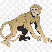 动画动画-空若网 动画动画-空若网