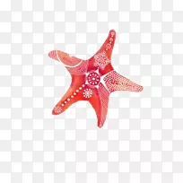 Ë®²Ê»¹ºÎï¼ÐÒÕÊõ-º£ÐÇ-¿ÕÈôÍø Ë®²Ê»¹ºÎï¼ÐÒÕÊõ-º£ÐÇ-¿ÕÈôÍø