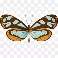 ��������Greta oto��Ӱ-����-������