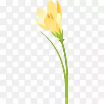 花瓣叶植物茎开花植物剪贴画-空若网 花瓣叶植物茎开花植物剪贴画-空若网