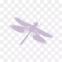 昆虫轮廓-蜻蜓轮廓-空若网 昆虫轮廓-蜻蜓轮廓-空若网