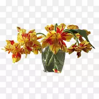 �л���������-����-������