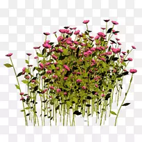 ������ƻ���������-��-������