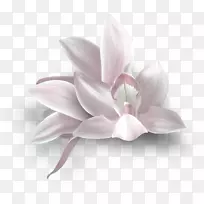 波尔沃尔的爱-人-空若网 波尔沃尔的爱-人-空若网