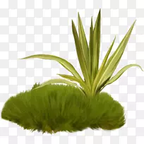 ˮӡ-������