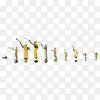 草科字体-空若网 草科字体-空若网