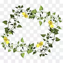 花卉设计花复活节画框剪贴画-空若网 花卉设计花复活节画框剪贴画-空若网