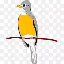 ŷ��֪�����������-��-������