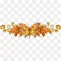 博客剪纸秋季-万维网-空若网 博客剪纸秋季-万维网-空若网