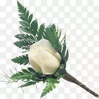 相框-空若网 相框-空若网