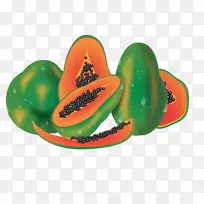 西瓜番木瓜Auglis-载体番木瓜-空若网 西瓜番木瓜Auglis-载体番木瓜-空若网