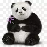 ����è��ܶ��ܵ���Instagram��-������