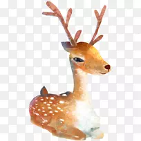 ÷»¨Â¹Ë®²Ê»¿¨Í¨²åͼ-¹-¿ÕÈôÍø ÷»¨Â¹Ë®²Ê»¿¨Í¨²åͼ-¹-¿ÕÈôÍø