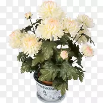 菊花切花大丽剪贴画-菊花-空若网 菊花切花大丽剪贴画-菊花-空若网