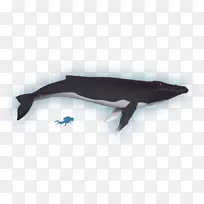 ����-����-������