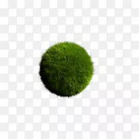 绿色-空若网 绿色-空若网