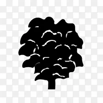 Ê÷ÂÖÀª°×Ò¶×ÖÌåÊ÷-¿ÕÈôÍø Ê÷ÂÖÀª°×Ò¶×ÖÌåÊ÷-¿ÕÈôÍø