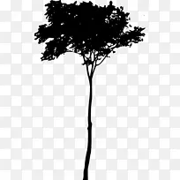 ϸ֦��Ӱ-��Ӱ-������