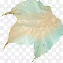 �������갢�������԰-������