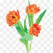 郁金香花卉剪裁艺术郁金香-空若网 郁金香花卉剪裁艺术郁金香-空若网