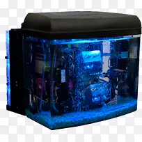 ���Ի������ǿ����ͱ�ϵͳ���˵������Ƶ���.����-������