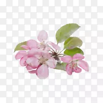 ���ܼ�����-������